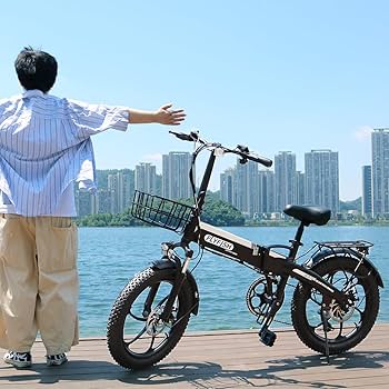 Amazon | FLYFISH 20インチ 折りたたみ自転車 電動アシスト自転車 軽量